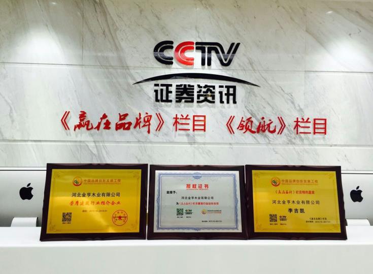 CCTV《赢在品牌》栏目推介企业